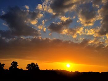 Silhouette trees against dramatic sky during sunset