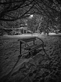 Trees in park during winter at night