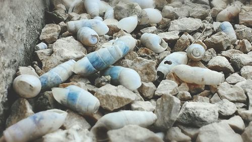 Garbage on beach