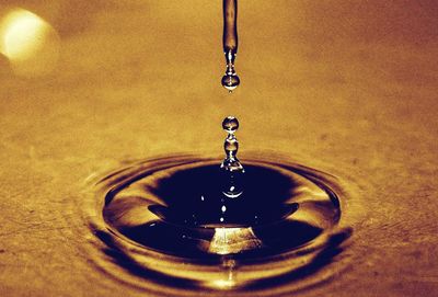 Close-up of water drop