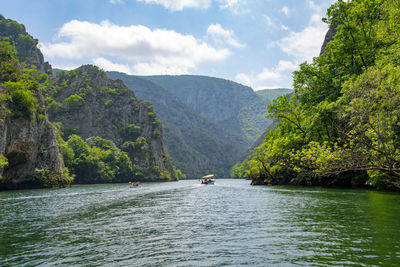 Scenic view of river amidst trees against sky