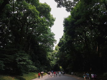 People walking in park