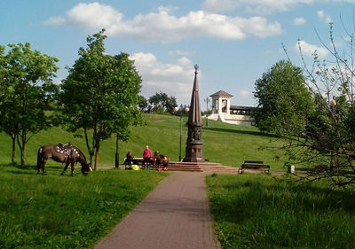Horses in a park