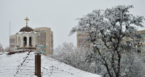 Tree by building against sky during winter