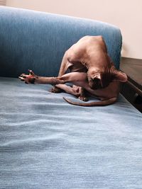 Full length of shirtless man lying on carpet