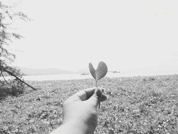 Close-up of hand holding leaf on field against clear sky