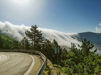 Road by trees against sky