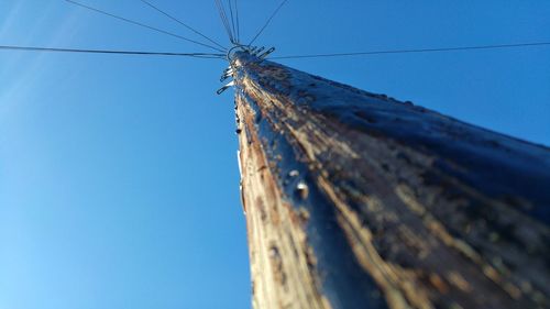 Low angle view of spider on web against clear blue sky