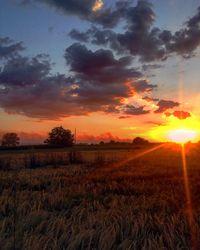 Scenic view of field against sky during sunset