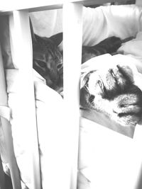 High angle view of person sleeping on bed