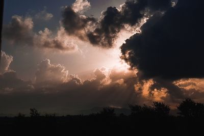 Low angle view of silhouette trees against sky during sunset