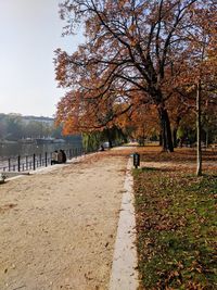 View of man walking on autumn leaves