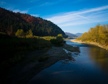 Scenic view of lake in forest against sky