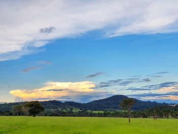 Scenic view of field against sky