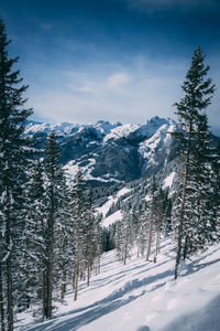 Scenic view of landscape against sky during winter