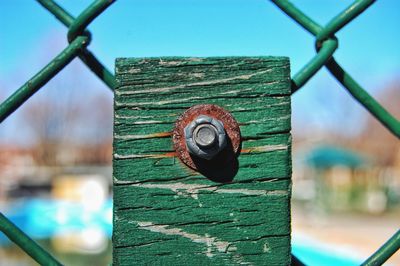 Close-up of snail on wood against sky