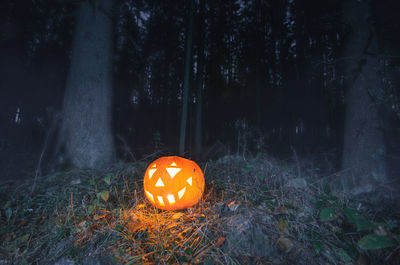 View of illuminated pumpkin on field at night