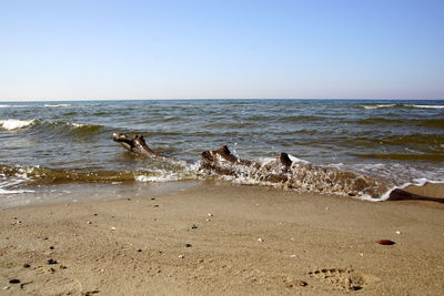 Scenic view of beach against clear sky