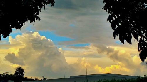 Silhouette of trees against cloudy sky