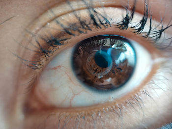 Close-up of human eye