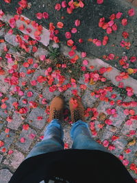 Low section of person standing amidst flowers on footpath