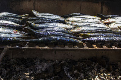 Fresh raw sardines prepared on the grill