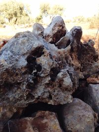 Close-up of rock formation