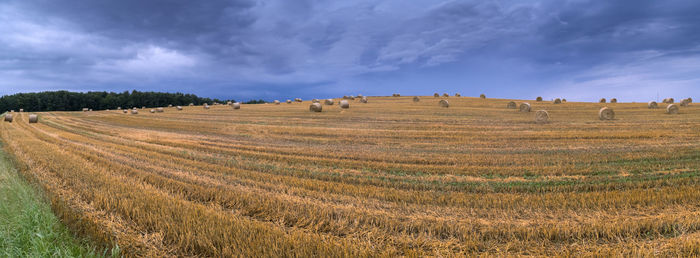 Hay bales on field against sky