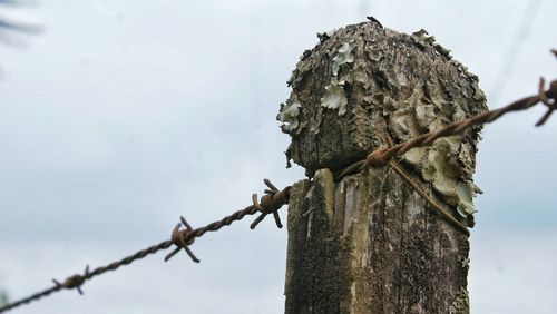 Low angle view of barbed wire