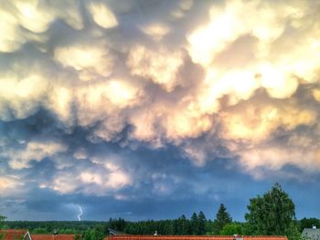 Low angle view of trees against sky