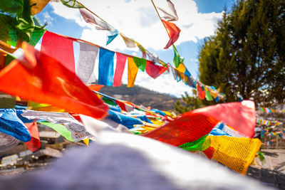 Low angle view of multi colored flags hanging on tree