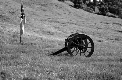 Cannon on field