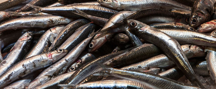 Full frame shot of fish for sale