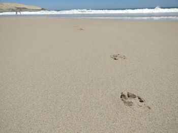 Footprints on sand at beach against sky