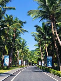 Road by palm trees against sky