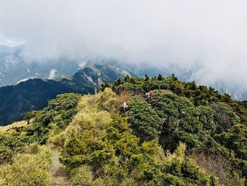 High angle view of plants against sky