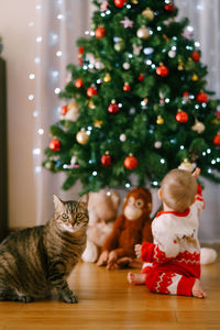 Close-up of christmas decoration