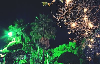 Low angle view of illuminated tree against sky at night