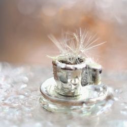 Close-up of ice cream in glass on table