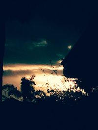 Silhouette trees against sky at night