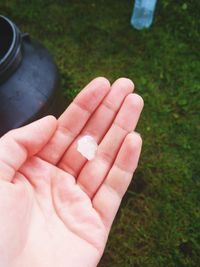 Close-up of hand holding grass