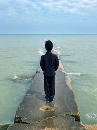 Rear view of man standing at beach against sky