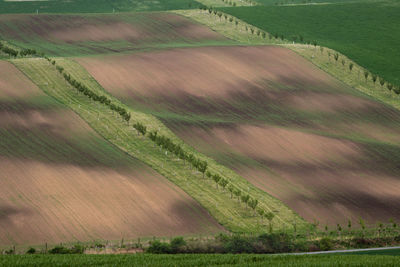 Scenic view of wavy agricultural field