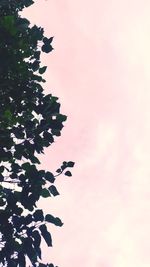 Low angle view of silhouette tree against sky