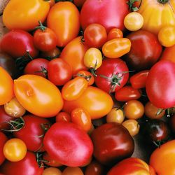 Full frame shot of tomatoes at market for sale