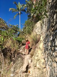 Full length of child on sand against trees