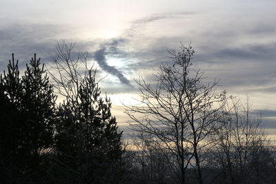 Bare trees against cloudy sky