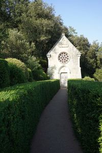 Footpath amidst trees against sky in garden