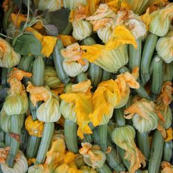 Full frame shot of various flowers at market
