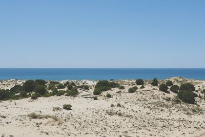 Scenic view of sea against clear sky